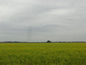 Marathon Aurich 039